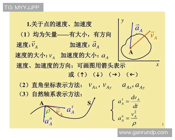 北京羽毛球队的速度分析与战术探讨助力竞技水平提升