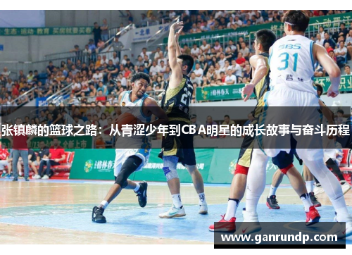 张镇麟的篮球之路：从青涩少年到CBA明星的成长故事与奋斗历程