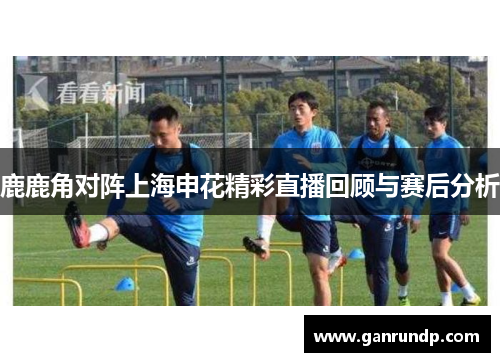 鹿鹿角对阵上海申花精彩直播回顾与赛后分析
