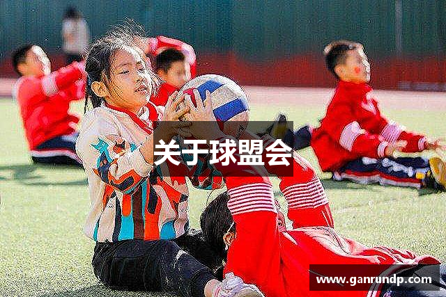 关于球盟会